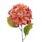 12 Pack: 28" Terra Cotta Hydrangea Stem by Ashland®